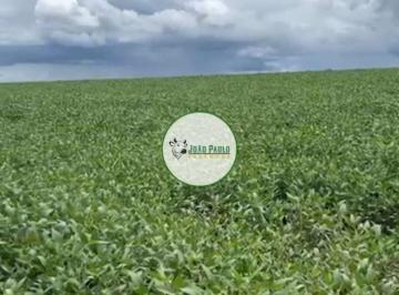 Rural , Caiapônia · Fazenda a venda em Caiaponia-GO - 170 Hectares - Região de Safra e safrinha - JÁ ARRENDADA