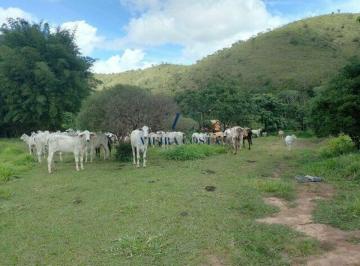 Rural de 3 quartos, Paranoá · Fazenda em Sobradinho dos Melos, Paranoa, aceita permuta mais dinheiro