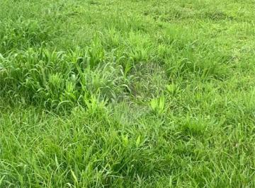 Imagem Principal · Terreno  à venda no condomínio Residencial Veneza, Mogi das Cruzes