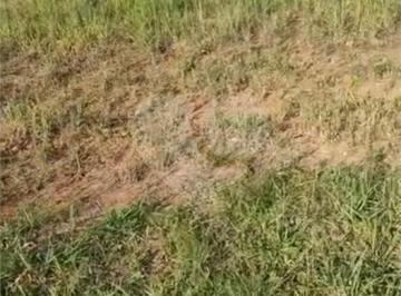 Imagem Principal · Terreno  à venda no condomínio Paradise Garden, Mogi das Cruzes