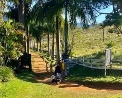 Rural · 200m² · 3 Quartos · 1 Vaga · Chácara para venda em Lima Duarte, Minas Gerais