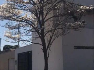 Casa · 300m² · 4 Quartos · 2 Vagas · Casa Alto Padrão p-Waleria01