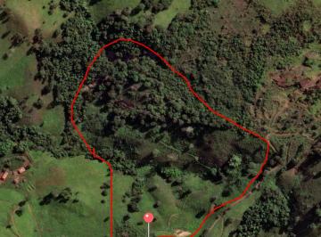Rural , Morro do Ferro · Fazenda de 13.6 hectares