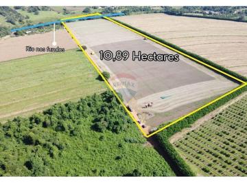 Rural · 108900m² · Sítio à Venda com 4,5 Alqueires no bairro Pederneiras em Mogi Mirim-SP