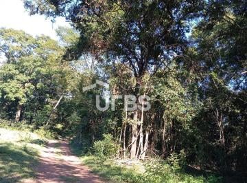 Comercial · 54000m² · Oportunidade de chacará com mata exuberante