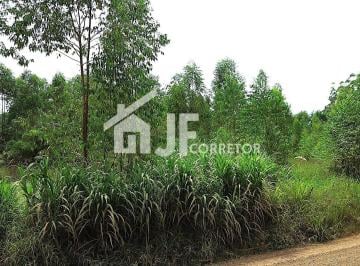 DJI_0532.JPG · Chácara de 1 quarto, 63000m² no bairro Ricão Da Saudade , em Estância Velha