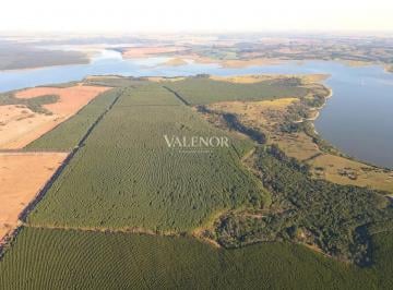 dji_0569-jpg1776869683953.jpg · Fazenda com reflorestamento às margens da Represa Jurumirim, SP