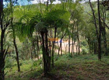 vhqtnn82owu5mjdkyziwodi5_md · Sitio com Riachos e bastante natureza Anitápolis 6  hectare 9 km para praça