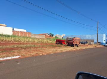 Terreno , Carneirinho · Terreno de 300 m² a Venda, na Avenida 11 - Carneirinho - terreno Comercial