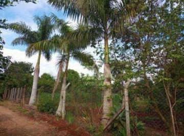 c0e71378a329270adead300813bc3fdc89ad0cea · Chácara em Paiquerê com 2 dormitórios à venda, 3608 m² por R$ 205.000 - Paiquerê - Londrina/PR
