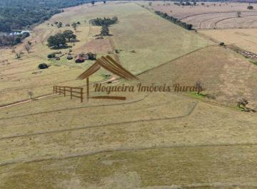 Rural , Avaré · Fazenda com 46 alqueires na região de Avaré-SP