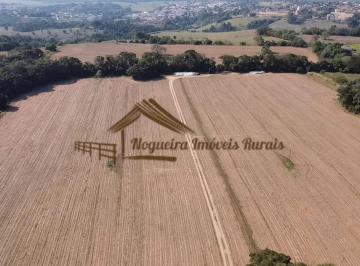 Rural , Itapetininga · Sitio com 5 alqueires na região de Itapetininga/SP