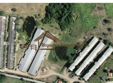 Rural , Cesário Lange · Sitio com granjas, 200 mil aves