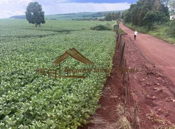 Rural , Avaré · Sítio à venda com 8,5 alqueires na região de Avaré-SP