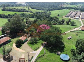 Rural , Alambari · Sítio com galpões de granja, 85 mil aves, área com 20,8 alqueires