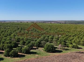 Rural , Avaré · Fazenda a venda com 33 alqueires, plantado laranja na região de Avaré-SP