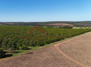 Rural , Avaré · Fazenda com 48,5 alqueires na região de Avaré-SP