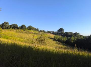 Foto 10 · Chacara, Campo Magro, Campo Magro, PR