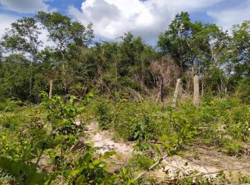 Rural , São Félix do Coribe · VENDO ÁREA DE 772 HECTARE município de São Félix