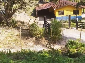 Foto 07 · Sitio, 32,5 Alqueires - Formado Eucalipto, Tapiraí, SP