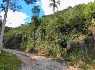 202608201643415039.jpeg · Chácara para Venda em Bocaiúva do Sul, CAMPO NOVO