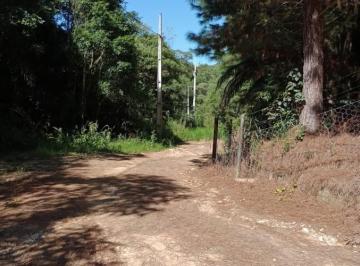 202608201643406216.jpeg · Chácara para Venda em Bocaiúva do Sul, CAMPO NOVO