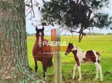 Rural · 690000m² · 1 Quarto · 1 Vaga · Página 1 Imóveis anuncia ótima Fazenda à Venda 69 hectares em Viamão