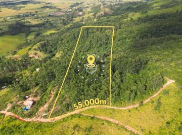 Terreno · 55992m² · Terreno 5,5 Hectares no Laranjal