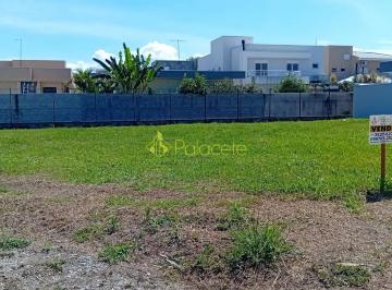 1000123867.jpg · Terreno à venda, Parque das Nações, Pindamonhangaba, SP