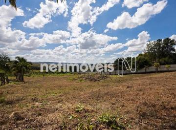 00559519-4286-4b8e-994c-ec79e8da8440.webp · Lote Park Way - SMPW Quadra 08