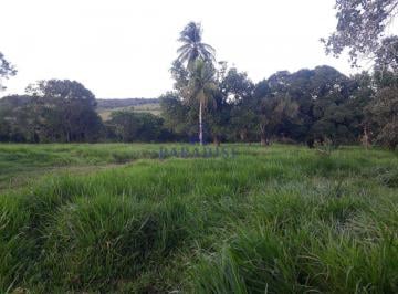Rural · 65m² · 10 Vagas · Fazenda, Centro, Araçás - R$ 1.7 mi, Cod: 69008