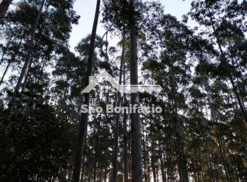 Rural · 150000m² · Área Rural em Rio Chicão, São Bonifácio/SC