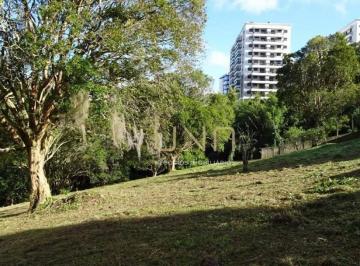 1cb3f6e90f36a9cf1f511b4fd5350bb81d6e12be · Terreno Residencial à venda, Itacorubi, Florianópolis - TE0029.