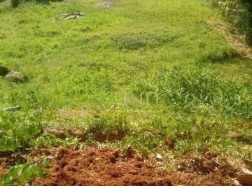 82c0101b00fe5007e6a71d0dbd7c6a96969c2bc5 · Terreno à venda, 1086 m² por R$ 1.600.000,00 - Jurerê - Florianópolis/SC