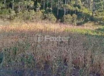 d6f1f5ba-7c4c-47e7-bcd7-dc6ca81904d6.jpeg · Terreno, 109484 m², em Paredão Canastra