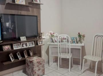 Foto 19 · Imperdível oportunidade: Casa à venda em São José do Rio Preto-SP, bairro São Francisco, 2 quartos, 