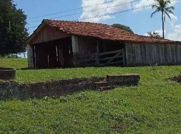 e322c9e52e7db00e4a1aabe8a156ab2ff8857845 · Fazenda com 3 dormitórios à venda, 4936800 m² por R$ 30.600.000,00 - Condomínio Eco Paraíso - Vera C