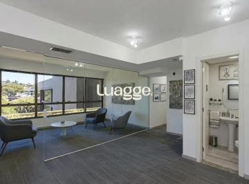 Comercial · 64m² · Sala com 67 m² para locação na Tristeza