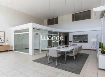 Comercial · 589m² · PRÉDIO COMERCIAL PARA ALUGAR NO BAIRRO TRISTEZA - 589m²