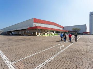 Comercial · 4555m² · Edifício Comercial em Berto Círio