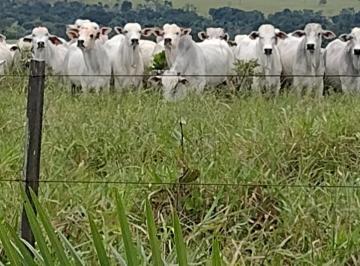 Rural de 4 quartos, Serranópolis · Fazenda em Serranópolis Go.