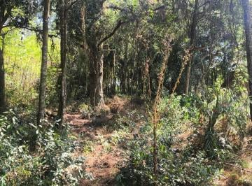 Terreno · 690m² · Excelente Terreno Arborizado em Condomínio Fechado – Águas Claras / Viamão