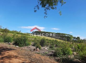 Rural · 8700m² · Fazenda em  Rodovia Teixeirinha - Morungava II (Morungava) - Gravataí/RS
