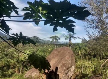 Imagem do Imóvel · Ubatuba, Ubatumirim, Área 60.000 m², próximo a rodovia rio santos, trevo de acesso a praia