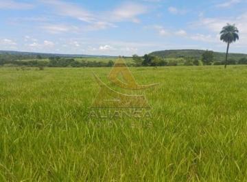 Imagem 1 · Fazenda