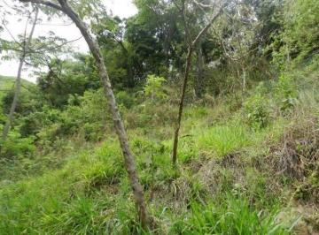 Imagem 1 · Terreno