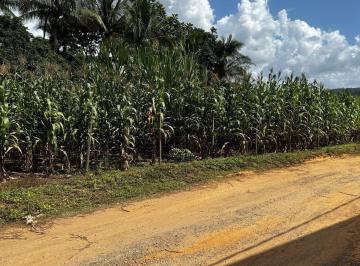 Imagem 1 · Chácara para venda em Ilha do Rio Doce, Caratinga