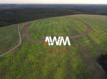 Imagem 1 · Fazenda