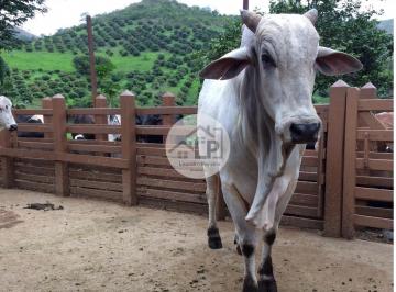 Imagem 1 · Fazenda