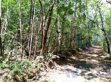 Imagem 1 · Fazenda